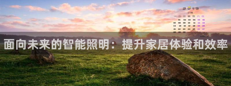 云顶国际集团发展有限公司国内项目总经理