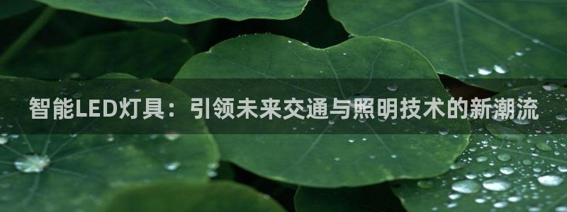 云顶国际pg网站官网