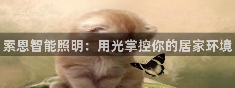 云顶集团董事长是谁