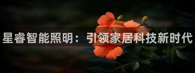 云顶国际是正规游戏吗安全吗