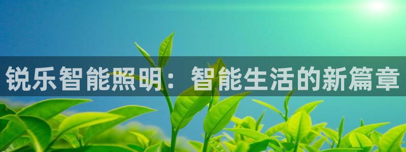 云顶国际提现多久到账啊