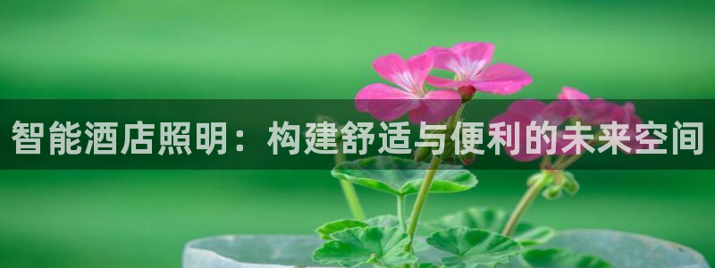 云顶国际服在哪下载