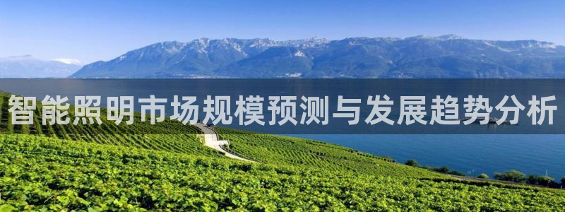 云顶国际下载APP