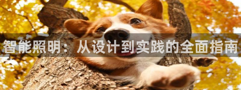 云顶国际装饰设计公司