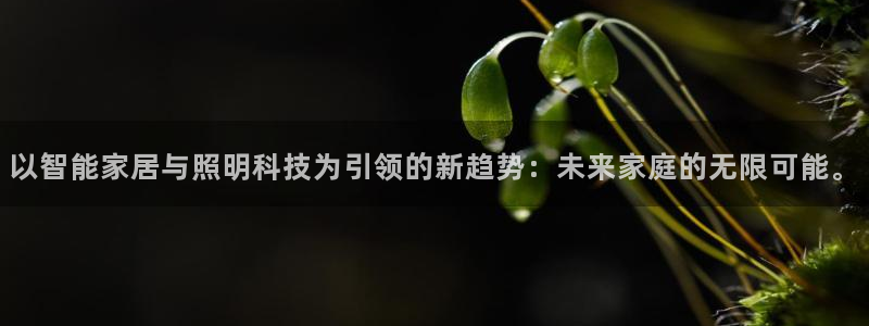 云顶国际电子游戏官网