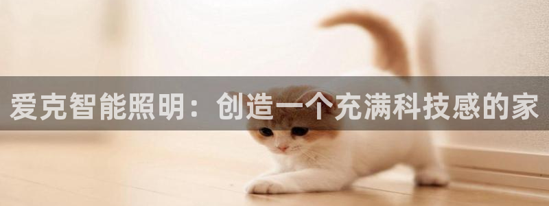 云顶国际旅行社官网