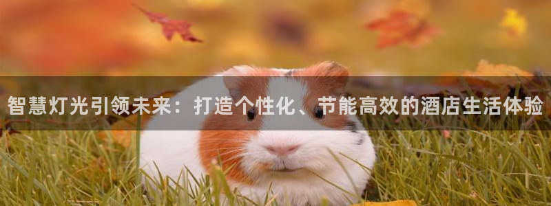 云顶集团公司简介：智慧灯光引领未来：打造