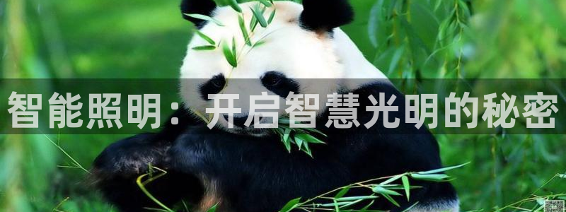 云顶国际是真实网站吗安全吗