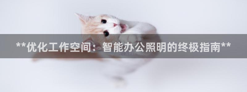 云顶国际的网址是多少啊：**优化工作空间