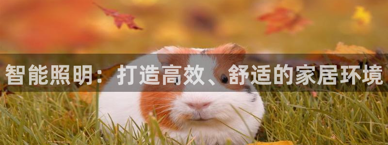 云顶手游国际服什么时候更新：智能照明：打