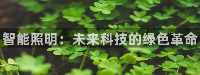 云顶国际会所是干嘛的地方啊