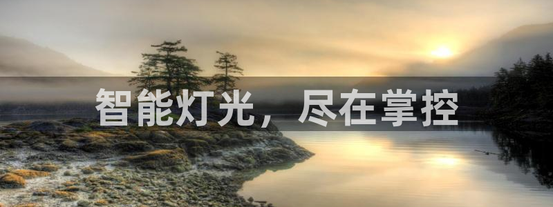 云顶线路快速检测中心