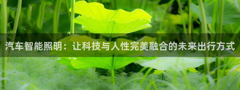 yd5288云顶：汽车智能照明：让科技与