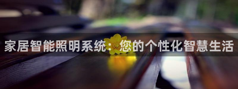 云顶国际服怎么登陆
