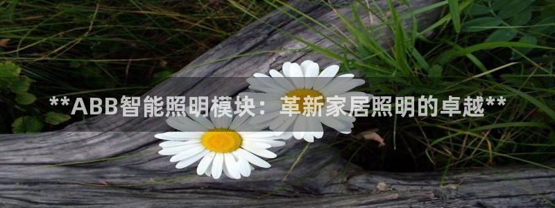云顶国际停车费多少