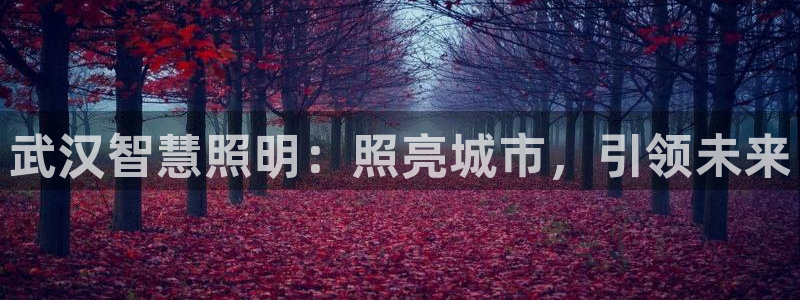 云顶国际是真实网站吗知乎