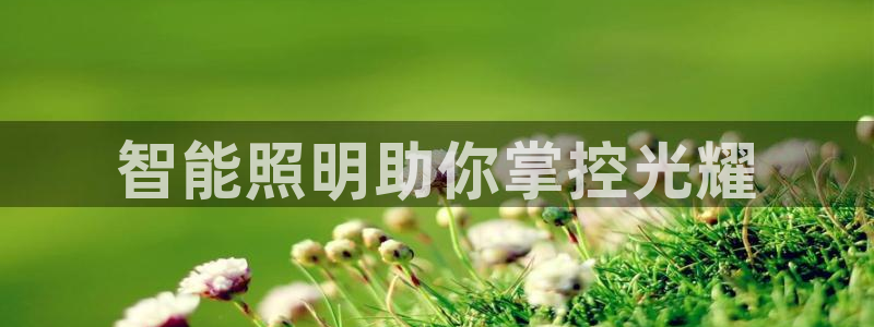云顶平台网址