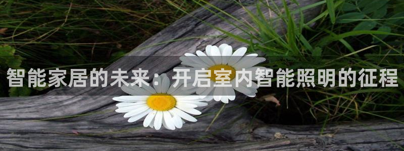 云顶国际服加速器