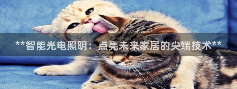 云顶国际是个什么网站