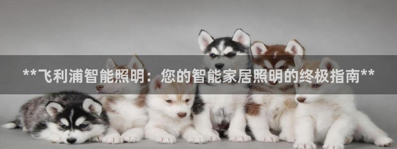 云顶国际取款多久到账户