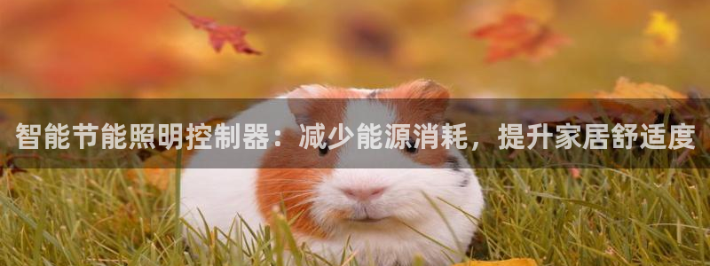 云顶集团专属APP9.0