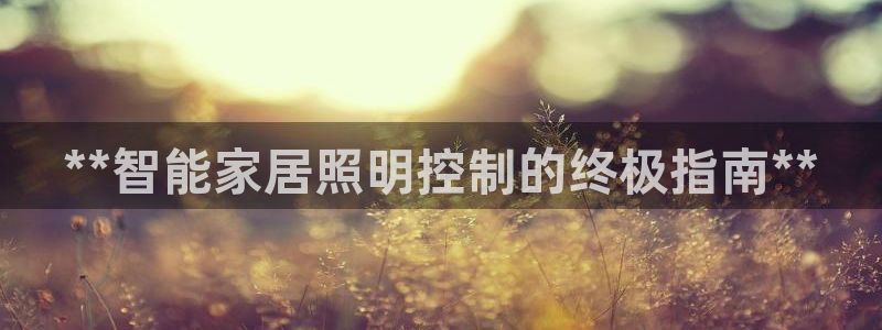 云顶国际服哪个服人多
