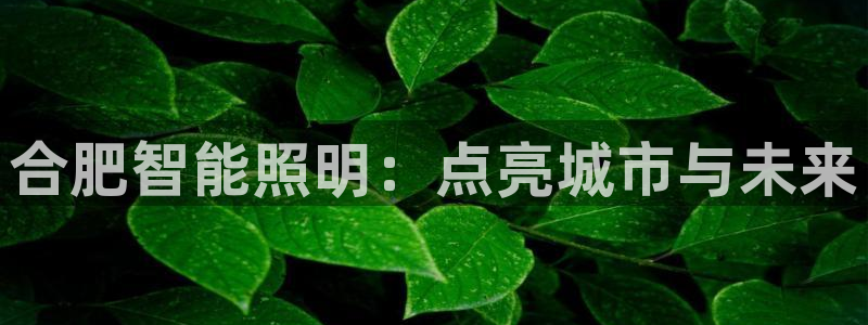 云顶国际服有中文吗