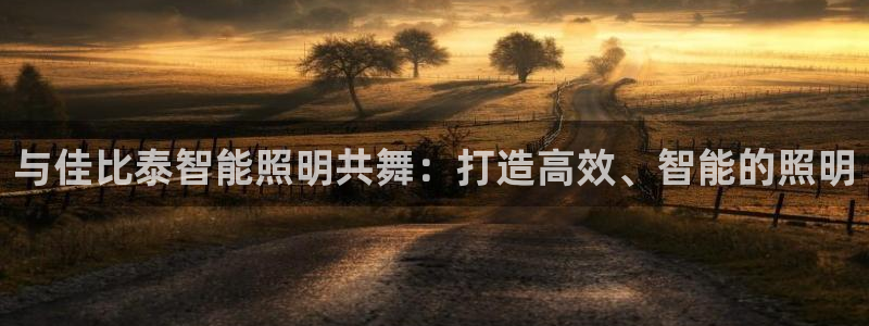 云顶网站是多少