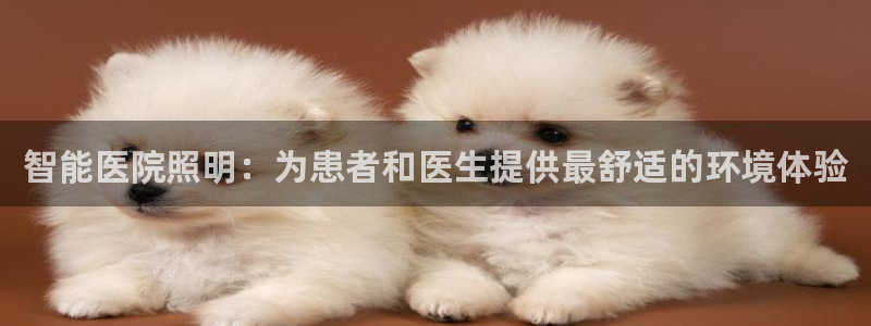 云顶国际服版本
