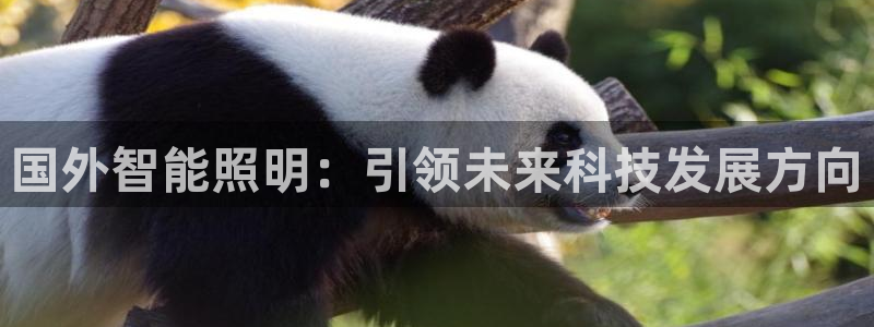 云顶国际百度百科