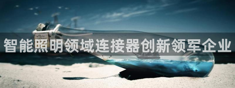 云顶国际培训机构