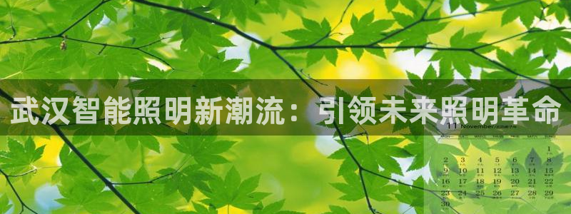 云顶集团公司简介图片