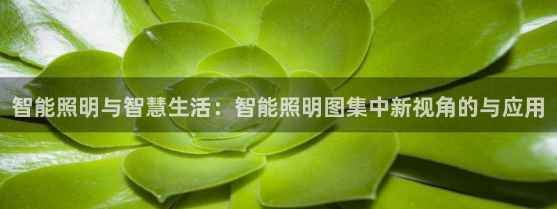 云顶国际app官方