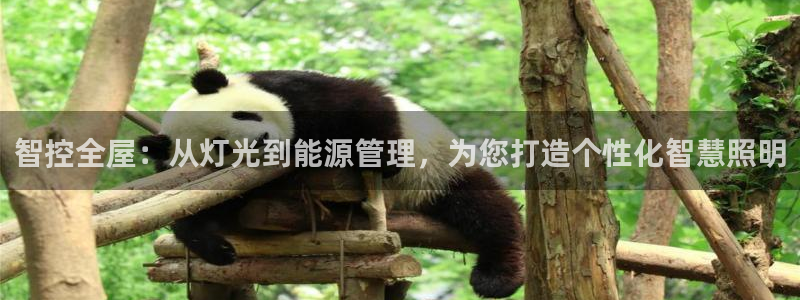 云顶国际在线购彩app