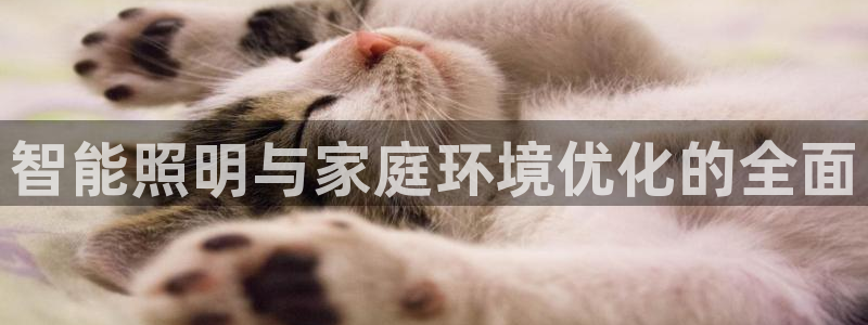 云顶国际在线购彩app