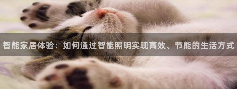 云顶国际是正规游戏吗