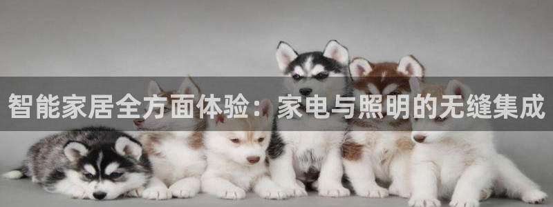 云顶国际登录不了怎么办