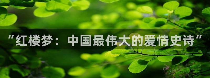 牛眼看书网：“红楼梦：中国最伟大的爱情史诗”