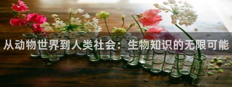 牛眼看书免费小说
