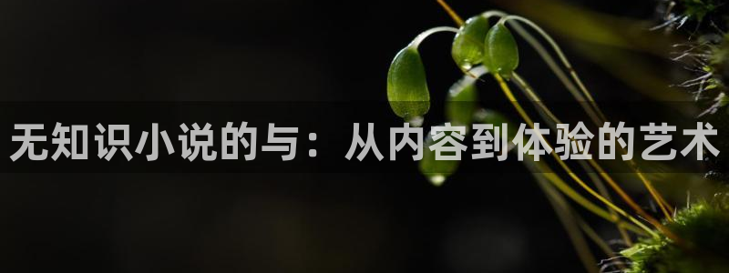 牛眼看书新网站