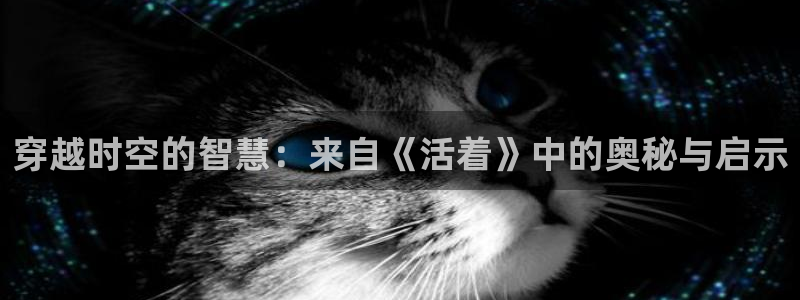 牛眼看书网页入口