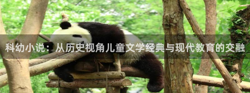 牛眼看书网韵母攻略