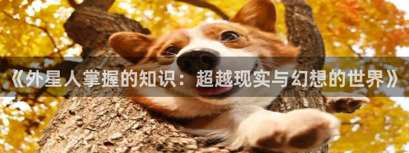 牛眼看书阅读